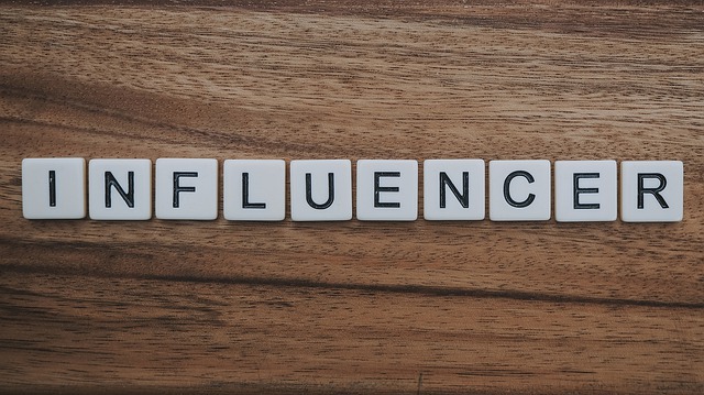 What are the Facilities of Instagram Influencer Marketing Platforms?